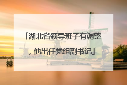 湖北省领导班子有调整，他出任党组副书记