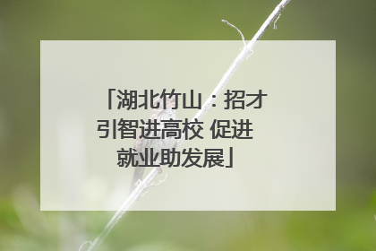 湖北竹山：招才引智进高校 促进就业助发展