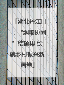 湖北丹江口：“烟粮协同”结硕果 绘就乡村振兴新画卷