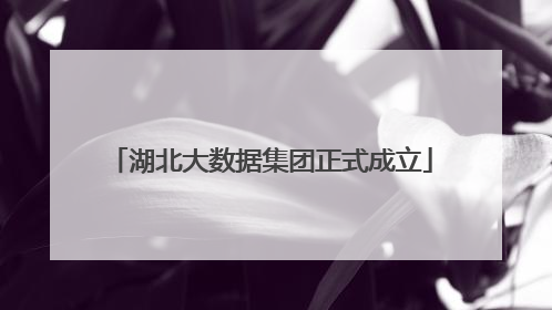 湖北大数据集团正式成立