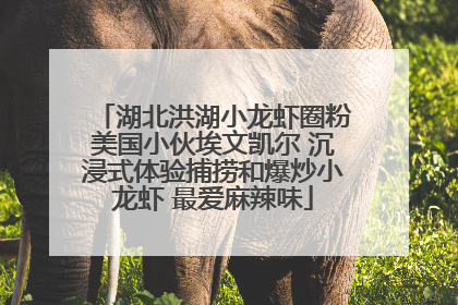 湖北洪湖小龙虾圈粉美国小伙埃文凯尔 沉浸式体验捕捞和爆炒小龙虾 最爱麻辣味