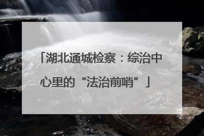 湖北通城检察：综治中心里的“法治前哨”