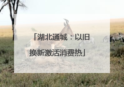 湖北通城：以旧换新激活消费热