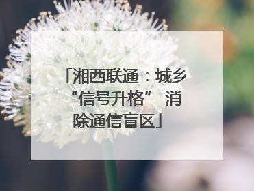 湘西联通：城乡“信号升格” 消除通信盲区