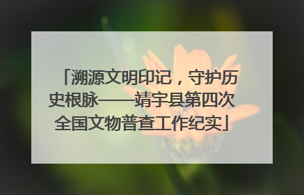 溯源文明印记，守护历史根脉——靖宇县第四次全国文物普查工作纪实