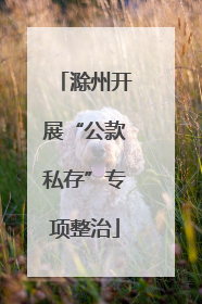 滁州开展“公款私存”专项整治