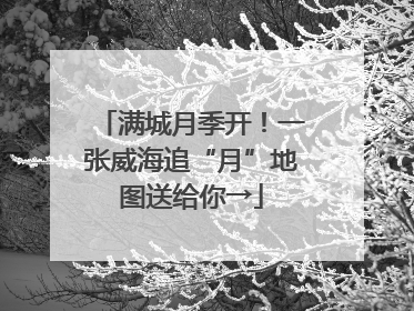 满城月季开！一张威海追“月”地图送给你→