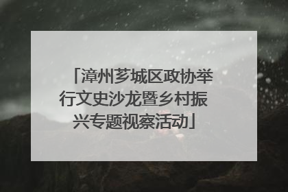 漳州芗城区政协举行文史沙龙暨乡村振兴专题视察活动