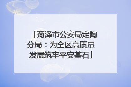 菏泽市公安局定陶分局：为全区高质量发展筑牢平安基石