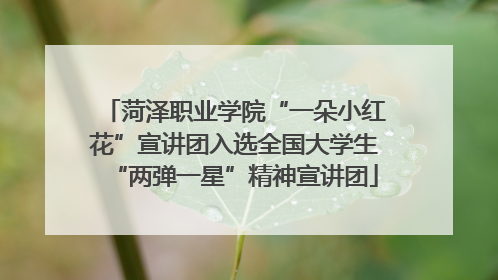 菏泽职业学院“一朵小红花”宣讲团入选全国大学生“两弹一星”精神宣讲团