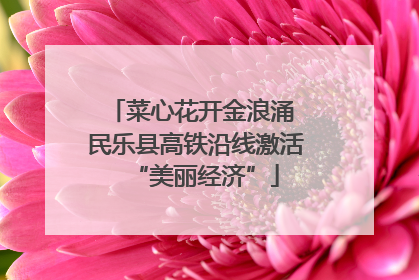 菜心花开金浪涌 民乐县高铁沿线激活“美丽经济”