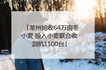 莱州抢收64万亩冬小麦 投入小麦联合收割机1500台