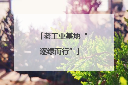 老工业基地“逐绿而行”
