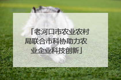 老河口市农业农村局联合市科协助力农业企业科技创新