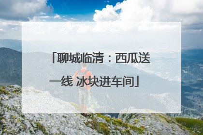 聊城临清：西瓜送一线 冰块进车间