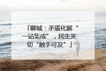 聊城：矛盾化解“一站集成”，民生关切“触手可及”