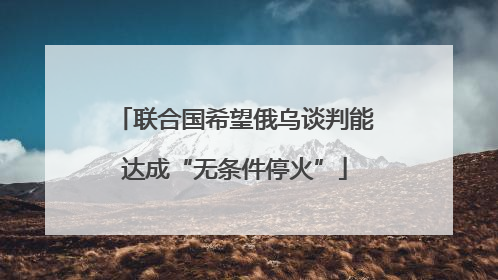 联合国希望俄乌谈判能达成“无条件停火”