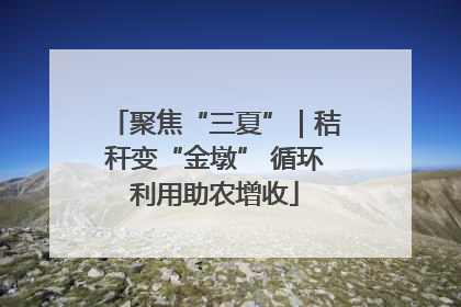 聚焦“三夏”｜秸秆变“金墩” 循环利用助农增收