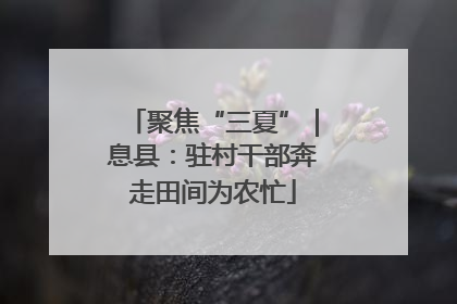 聚焦“三夏”｜息县：驻村干部奔走田间为农忙