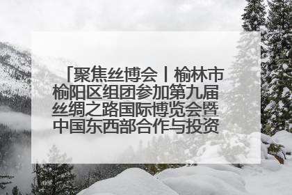 聚焦丝博会丨榆林市榆阳区组团参加第九届丝绸之路国际博览会暨中国东西部合作与投资贸易洽谈会