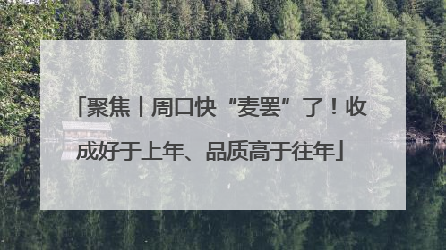 聚焦丨周口快“麦罢”了！收成好于上年、品质高于往年