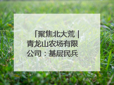 聚焦北大荒｜青龙山农场有限公司：基层民兵参与农业环境综合治理显效
