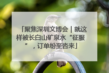 聚焦深圳文博会｜就这样被长白山矿泉水“征服”，订单纷至沓来