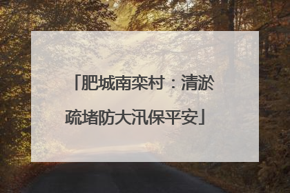 肥城南栾村：清淤疏堵防大汛保平安