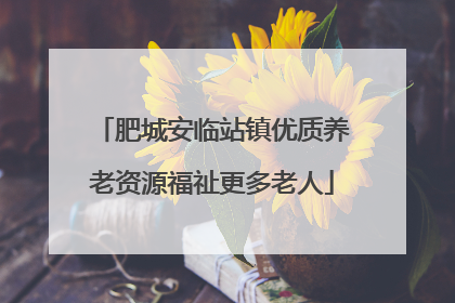 肥城安临站镇优质养老资源福祉更多老人