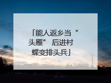 能人返乡当“头雁” 后进村蝶变排头兵