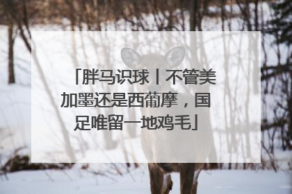 胖马识球丨不管美加墨还是西葡摩，国足唯留一地鸡毛