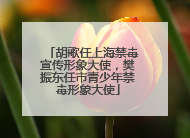 胡歌任上海禁毒宣传形象大使，樊振东任市青少年禁毒形象大使