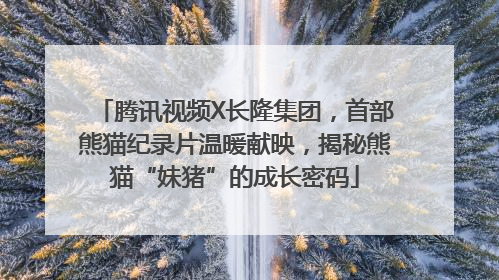 腾讯视频X长隆集团，首部熊猫纪录片温暖献映，揭秘熊猫“妹猪”的成长密码