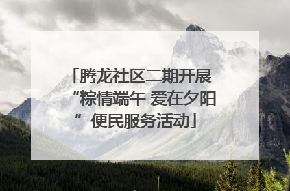 腾龙社区二期开展 “粽情端午 爱在夕阳”便民服务活动