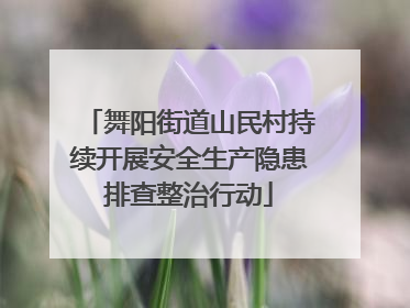 舞阳街道山民村持续开展安全生产隐患排查整治行动