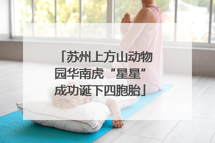 苏州上方山动物园华南虎“星星”成功诞下四胞胎