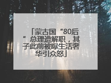 蒙古国“80后”总理遭解职，其子此前被曝生活奢华引众怒