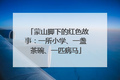 蒙山脚下的红色故事：一所小学、一盏茶碗、一匹病马