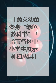 蔬菜幼苗变身“绿色教科书”！哈市各区中小学生展示种植成果