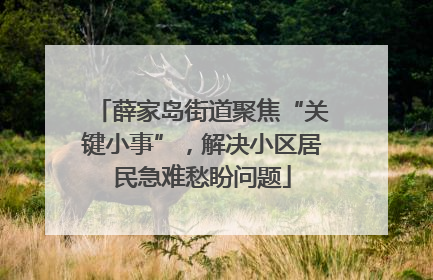 薛家岛街道聚焦“关键小事”，解决小区居民急难愁盼问题