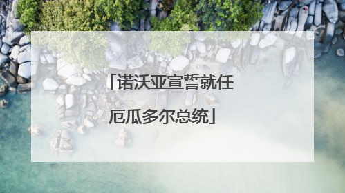 诺沃亚宣誓就任厄瓜多尔总统