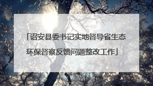 诏安县委书记实地督导省生态环保督察反馈问题整改工作