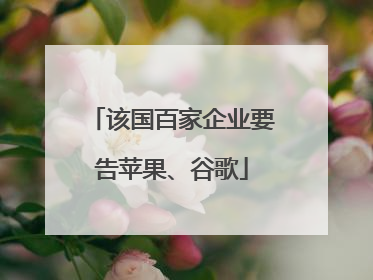 该国百家企业要告苹果、谷歌