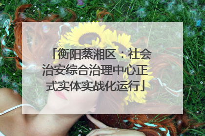 衡阳蒸湘区：社会治安综合治理中心正式实体实战化运行