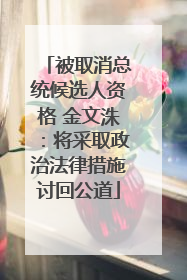 被取消总统候选人资格 金文洙：将采取政治法律措施讨回公道