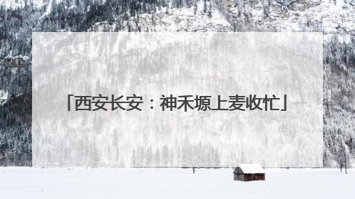 西安长安：神禾塬上麦收忙