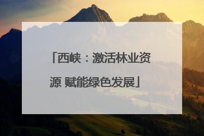 西峡：激活林业资源 赋能绿色发展