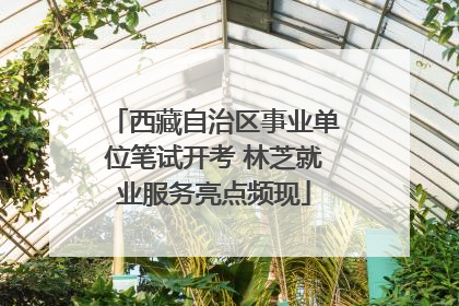 西藏自治区事业单位笔试开考 林芝就业服务亮点频现