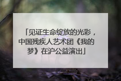 见证生命绽放的光彩，中国残疾人艺术团《我的梦》在沪公益演出