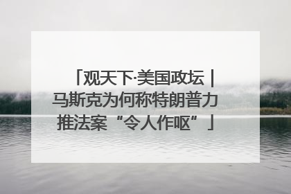 观天下·美国政坛｜马斯克为何称特朗普力推法案“令人作呕”